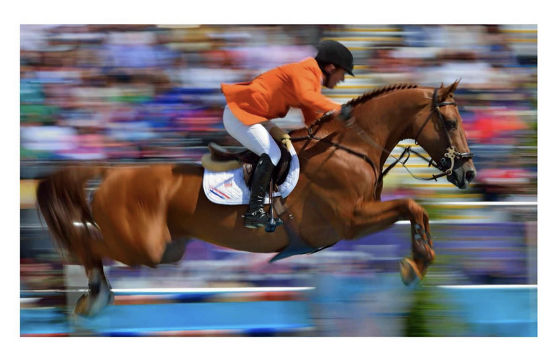 An Illustrated History of Equestrian Sports